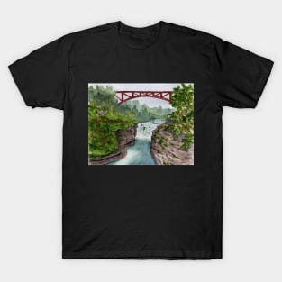 Letchworth State Park - Middle Falls T-Shirt